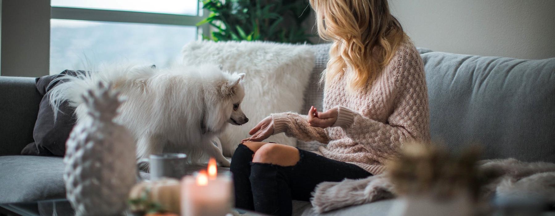 woman sitting on a couch with a dog