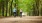 a couple of people riding bikes on a dirt road in the woods