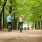 a couple of people riding bikes on a dirt road in the woods
